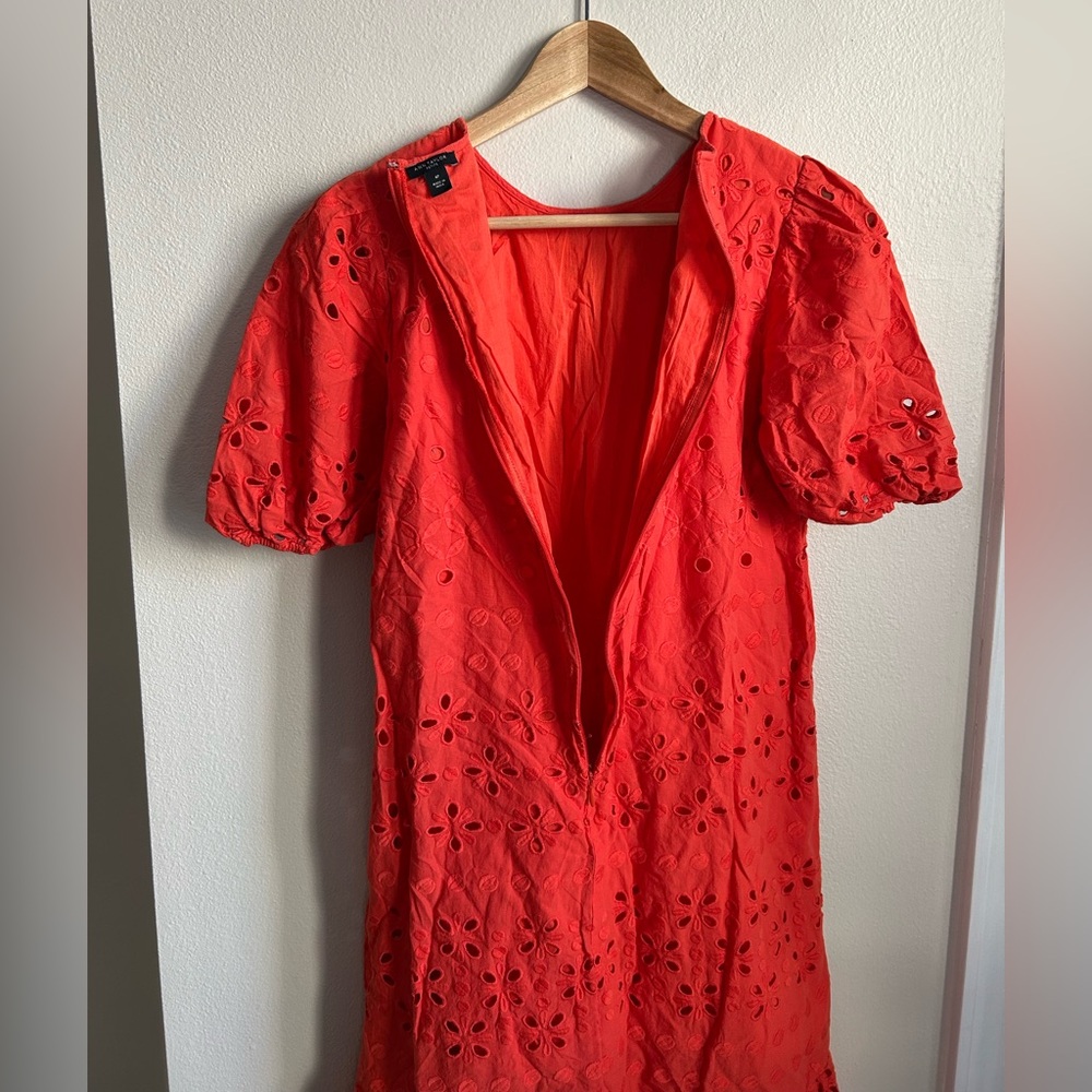 ANN TAYLOR $189 Eyelet Midi Flare Dress In Red Ripe Persimmon Size 4P - Picture 8 of 8